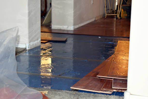 Professional Basement Water Removal technician working in Danforth, ME