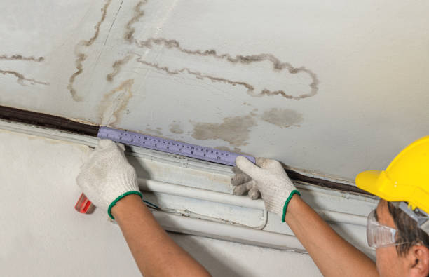 Reliable Basement Water Removal contractor in Danforth, ME by Water Damage Irwin